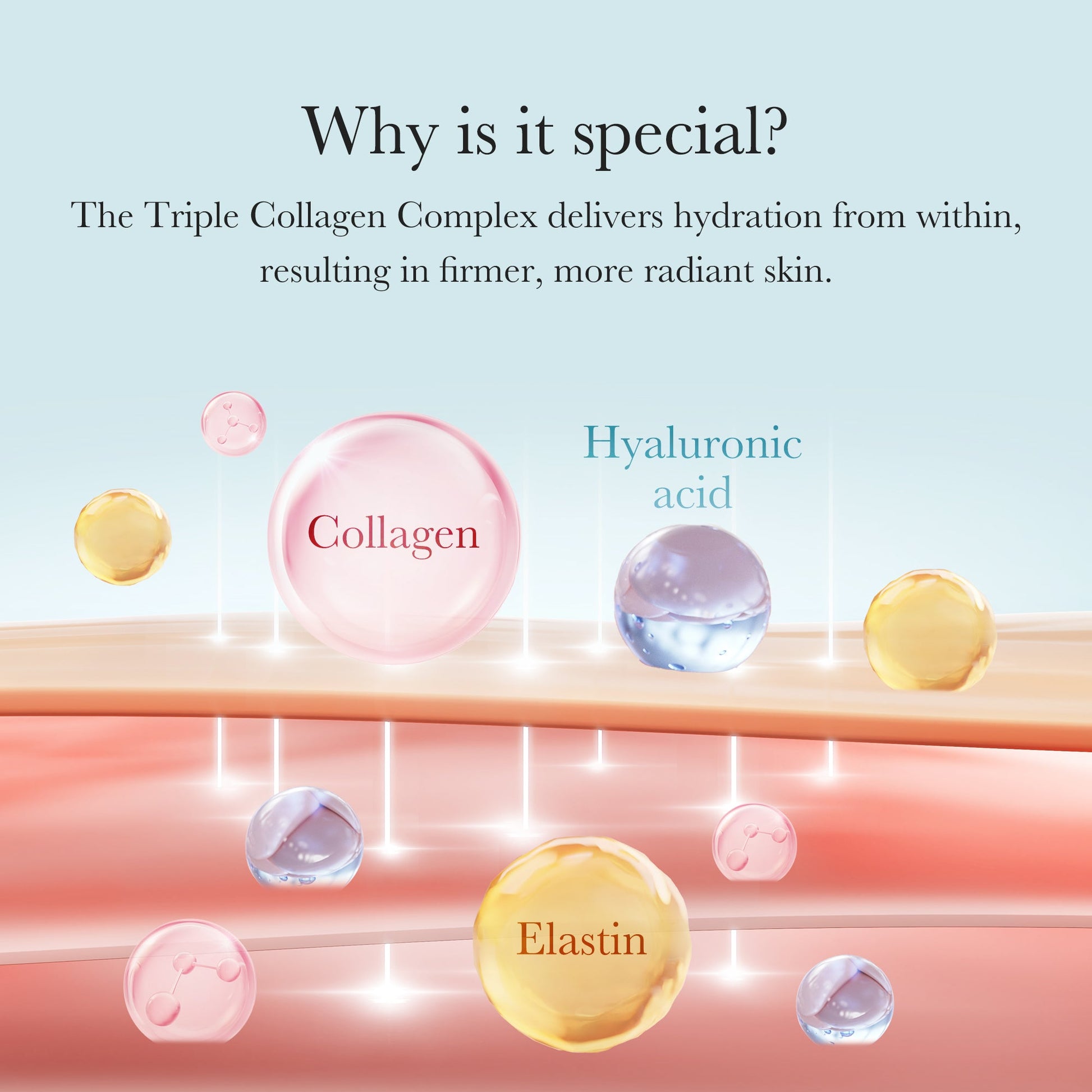 triple-collagen-cream-s9 04_8e4e330d-7d9c-4ff0-93ec-ea541093220c.jpg